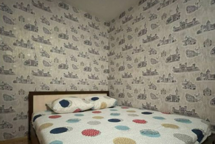 Уютная квартира на сутки в Старых дорогах!